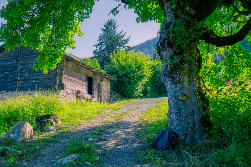 Petit hameau de Ténèvre. Jolies maisons typiques. Joli coin proche village