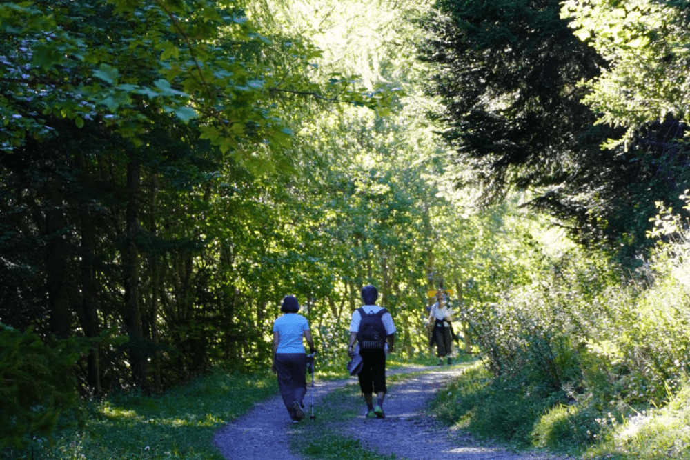 balade familiale en forêt sur la Corniche facile idéale pour les poussettes