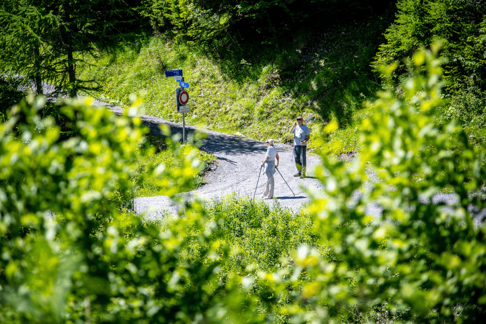 Promenade facile adaptée aux poussettes. Ombragé et relativement plate