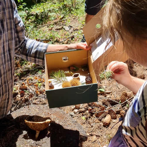 atelier à la découverte des insectes et des petites bêtes avec une biologiste